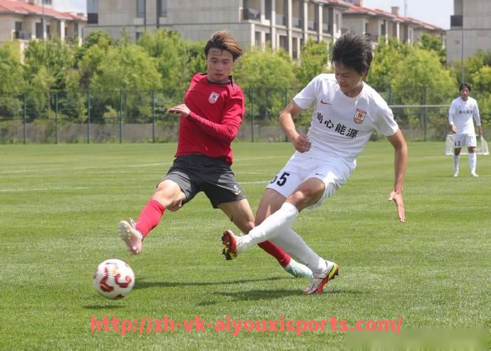 爱游戏体育官网-英超从未降级的球队名单及保持稳定的秘诀分析