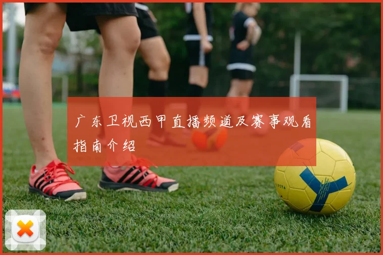 广东卫视西甲直播频道及赛事观看指南介绍