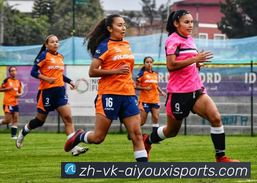 爱游戏体育品牌故事